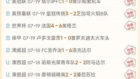 新西兰连战告捷，公羊对决鲨鱼：终极对决前瞻